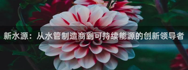 天辰娱乐登陆