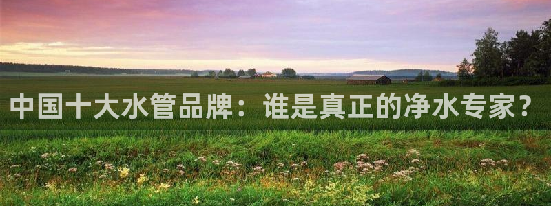 天辰娱乐简介