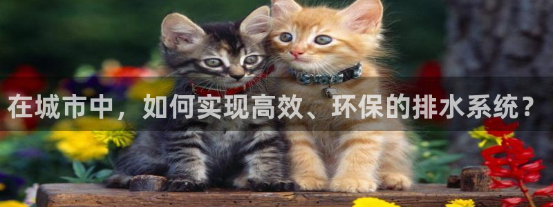 天辰娱乐平台测速