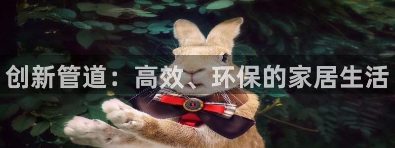 天辰娱乐1996