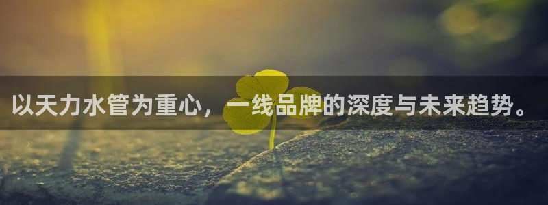 天辰娱乐_675138