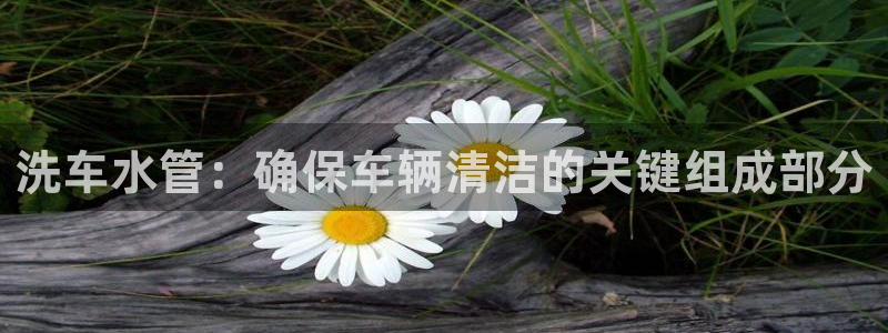 天辰2娱乐