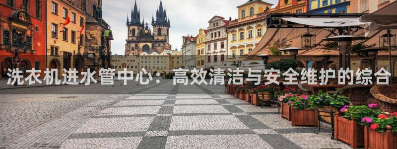 天辰娱乐 . 鱼刺