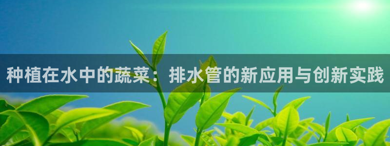 天辰娱乐怎么样