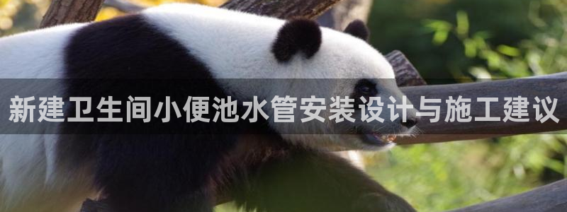 天辰娱乐维护