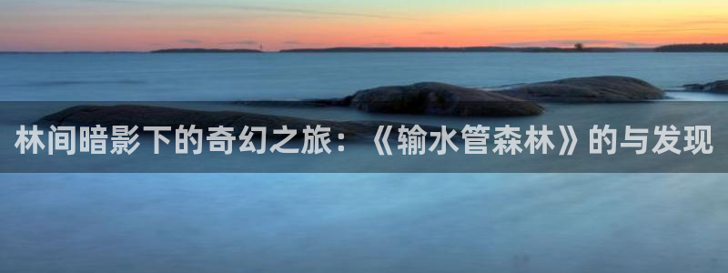 天辰娱乐登陆