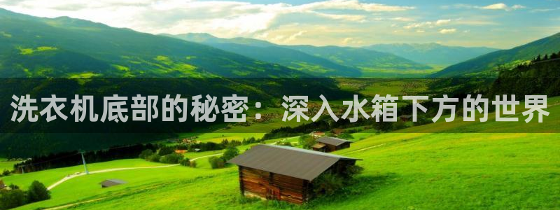 天辰娱乐代理