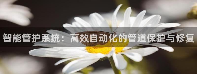 菲律宾天辰娱乐