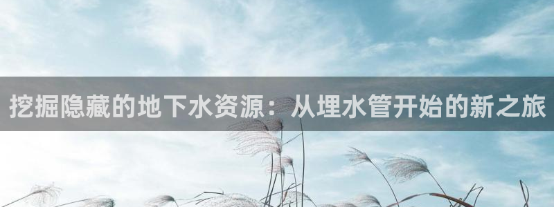 天辰娱乐 . 鱼刺