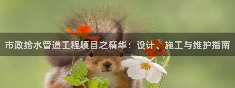 天辰娱乐官网平台入口