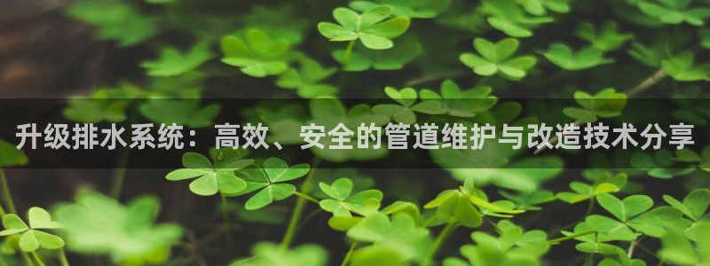天辰娱乐连接