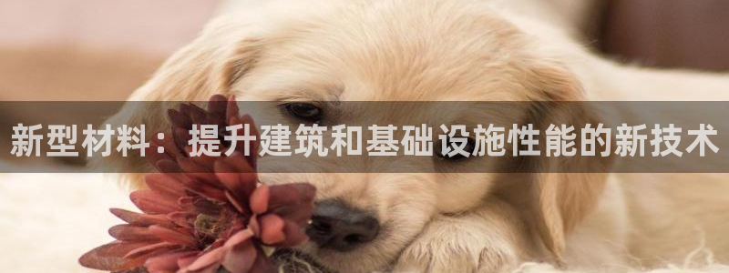 天辰平台娱乐