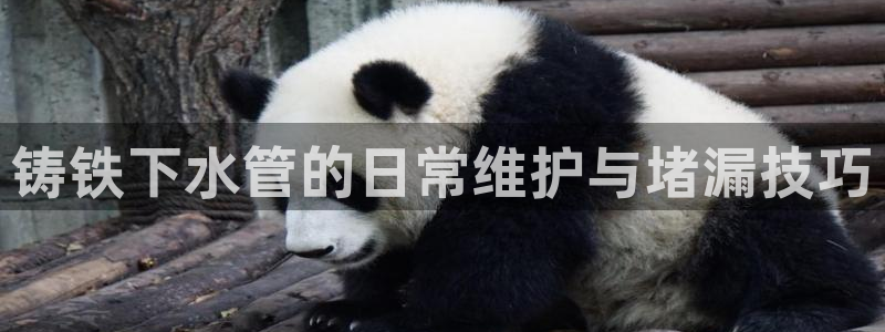 天辰娱乐注册登录