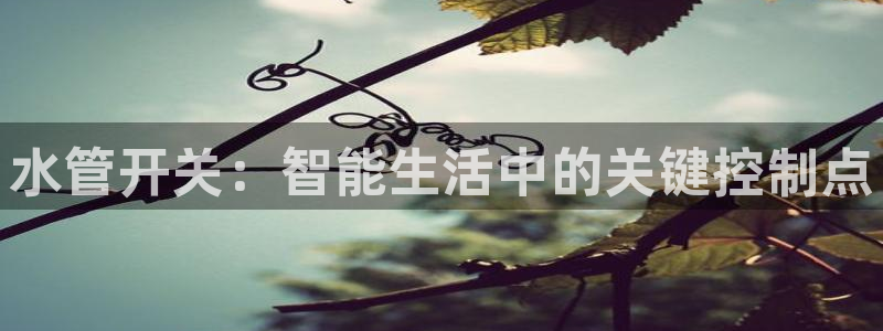 天辰娱乐登陆