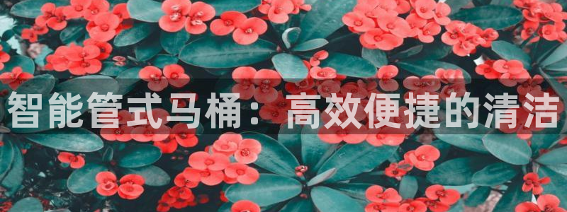 天辰娱乐指定