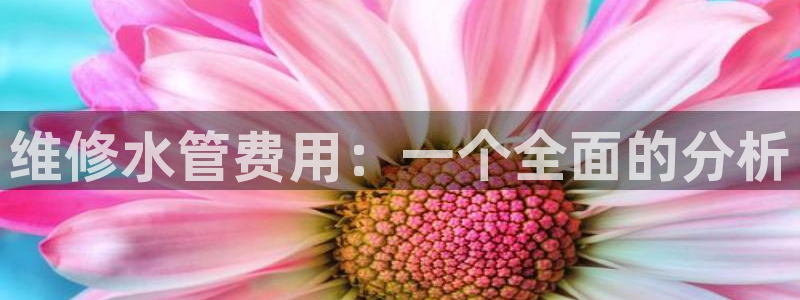 天辰娱乐官方登录入口