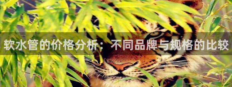 天辰娱乐咋样