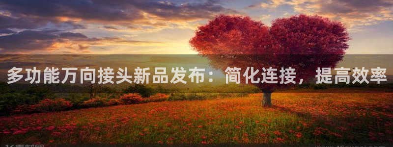 天辰娱乐黑人