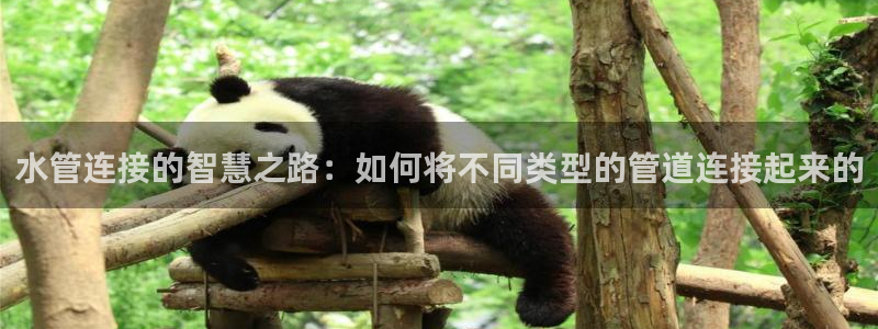 天辰娱乐棋牌