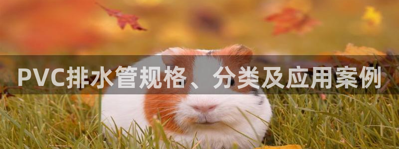 天辰娱乐直属