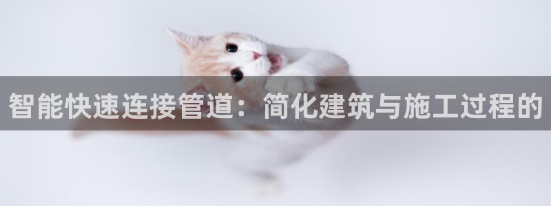 天辰娱乐上级