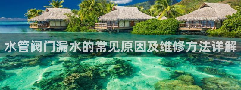天辰娱乐咋样