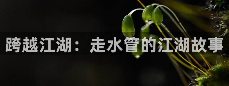 天辰娱乐1996