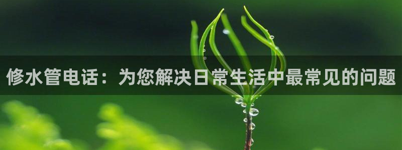 菲律宾天辰娱乐