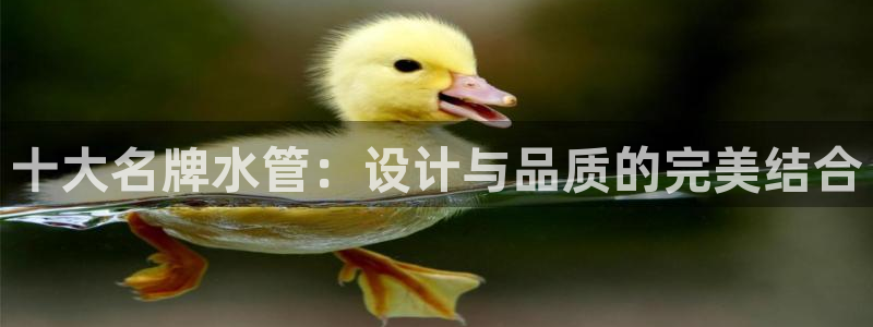 天辰宝娱乐
