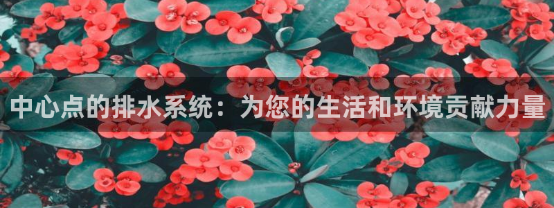 天辰辰娱乐代理