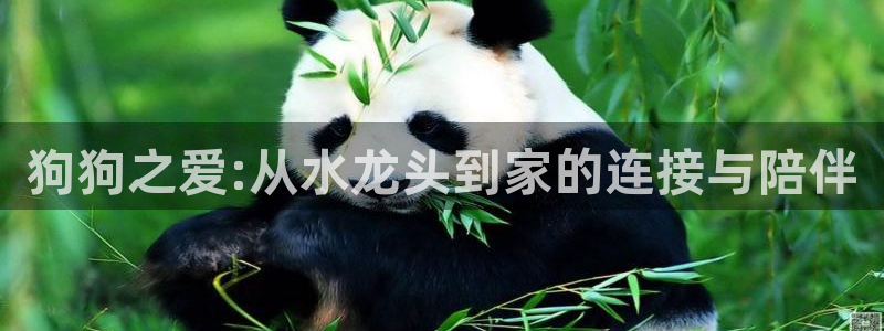 天辰娱乐十分彩