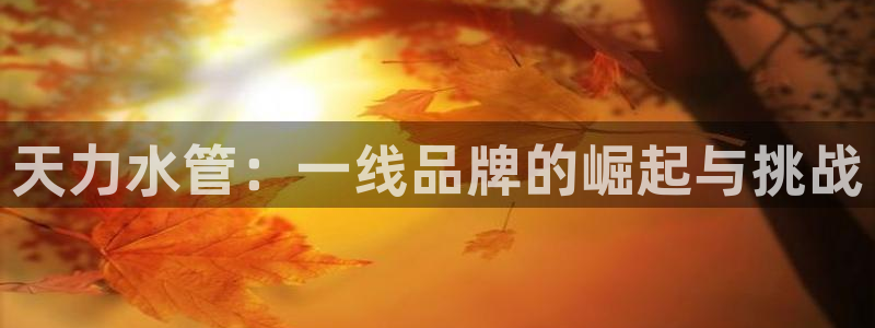 天辰娱乐的网址首页